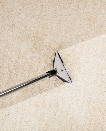 carpet steam cleaning