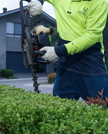 Hedge Trimming