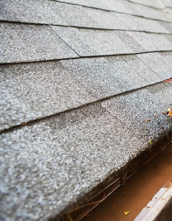gutter cleaning