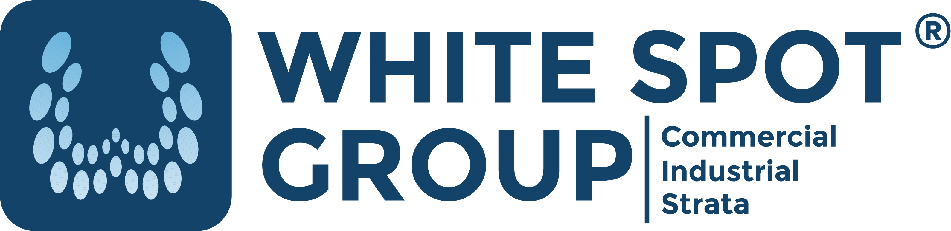 White Spot Group
